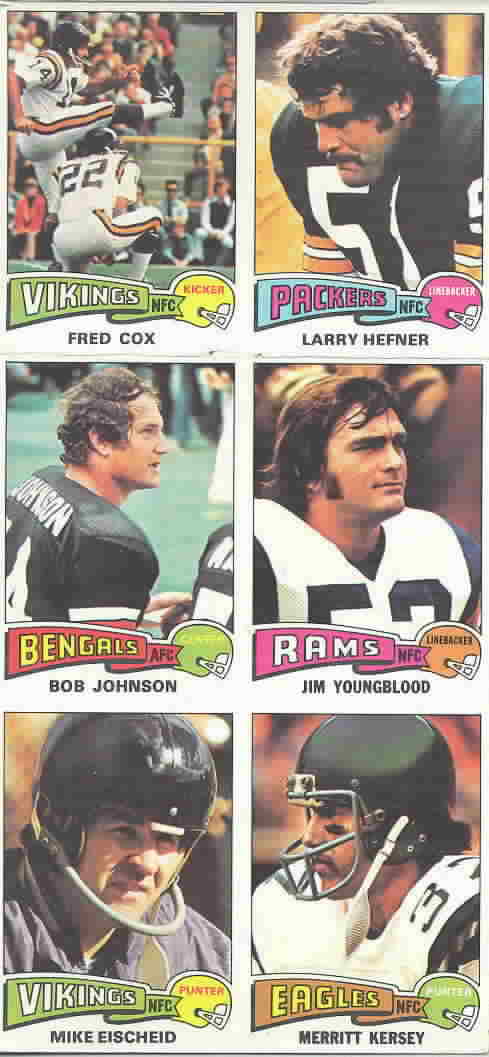 1975 Topps Panels Football Cards